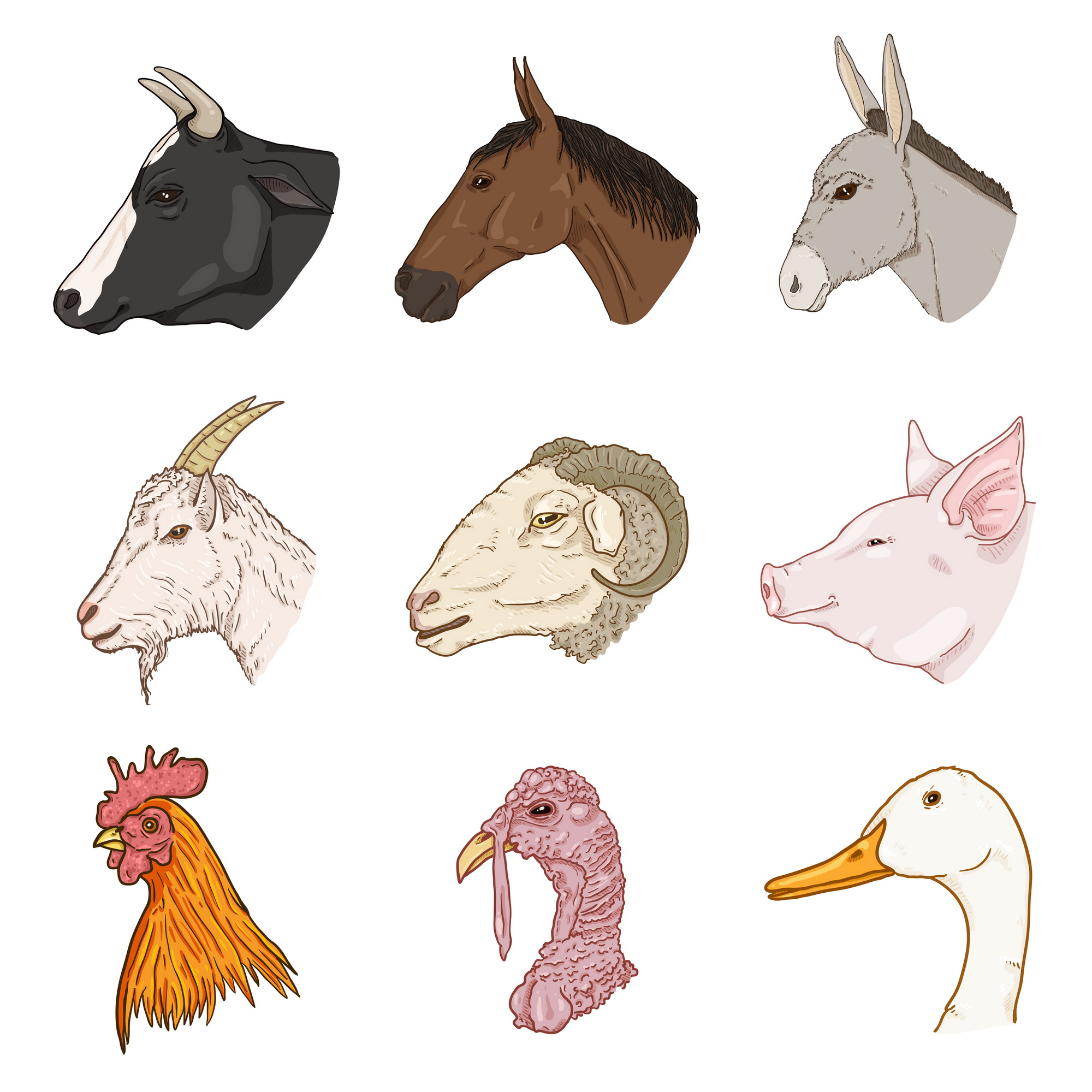 Farm animals head set side cartoon