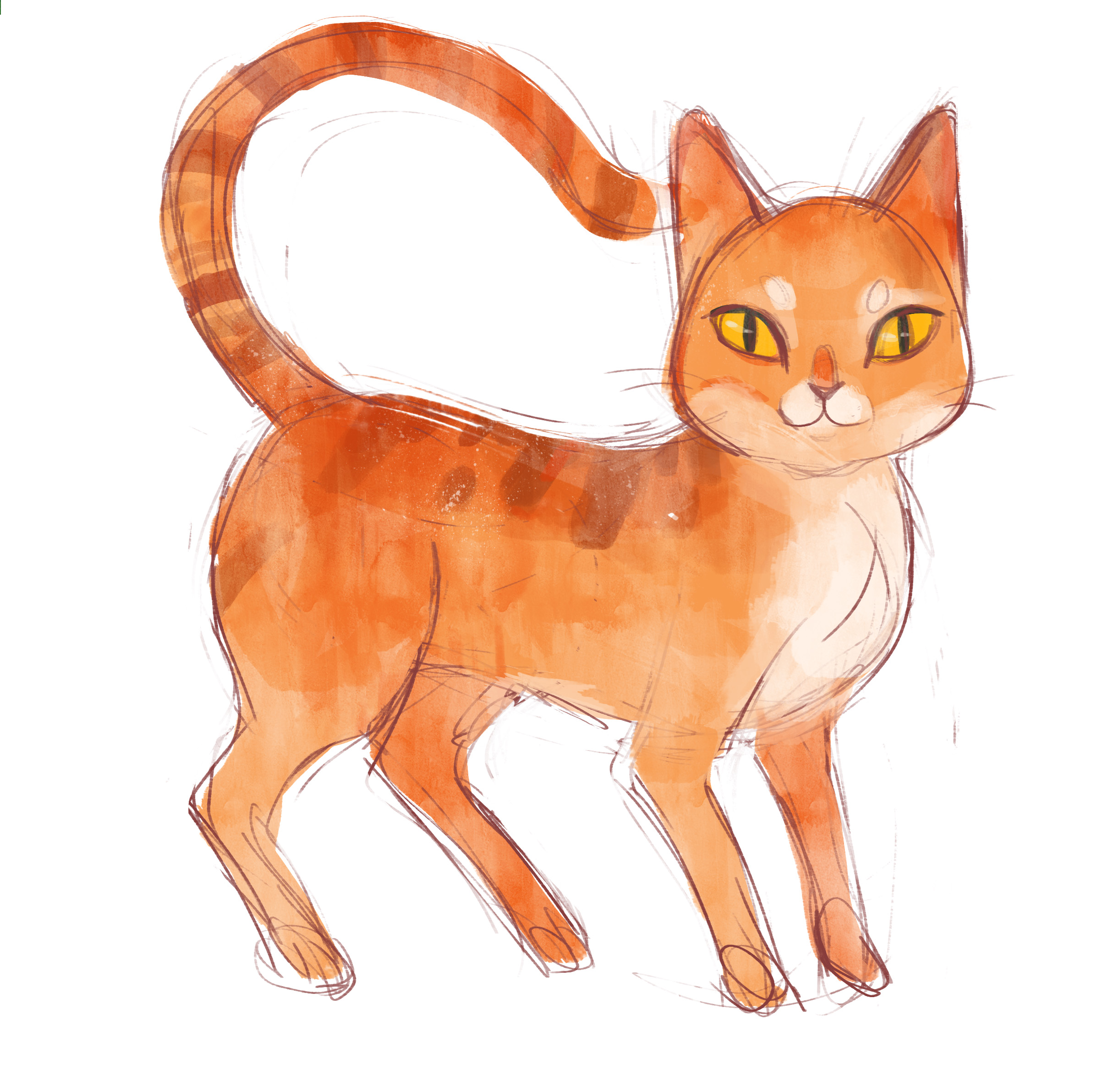 %d0%ba%d0%be%d1%88%d0%ba%d0%b0