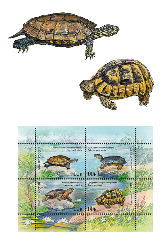 Marka cherepaxi inet