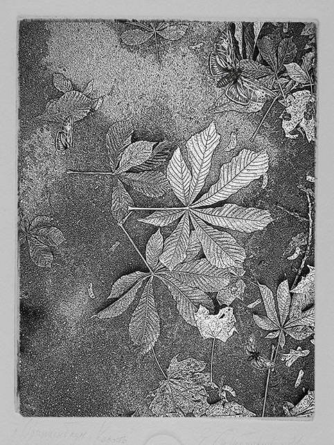     %d0%9a%d0%b0%d1%88%d1%82%d0%b0%d0%bd%d0%b0 %d0%b1%d0%b0%d0%b1%d0%be%d1%87%d0%ba%d0%b0 %d0%b3  