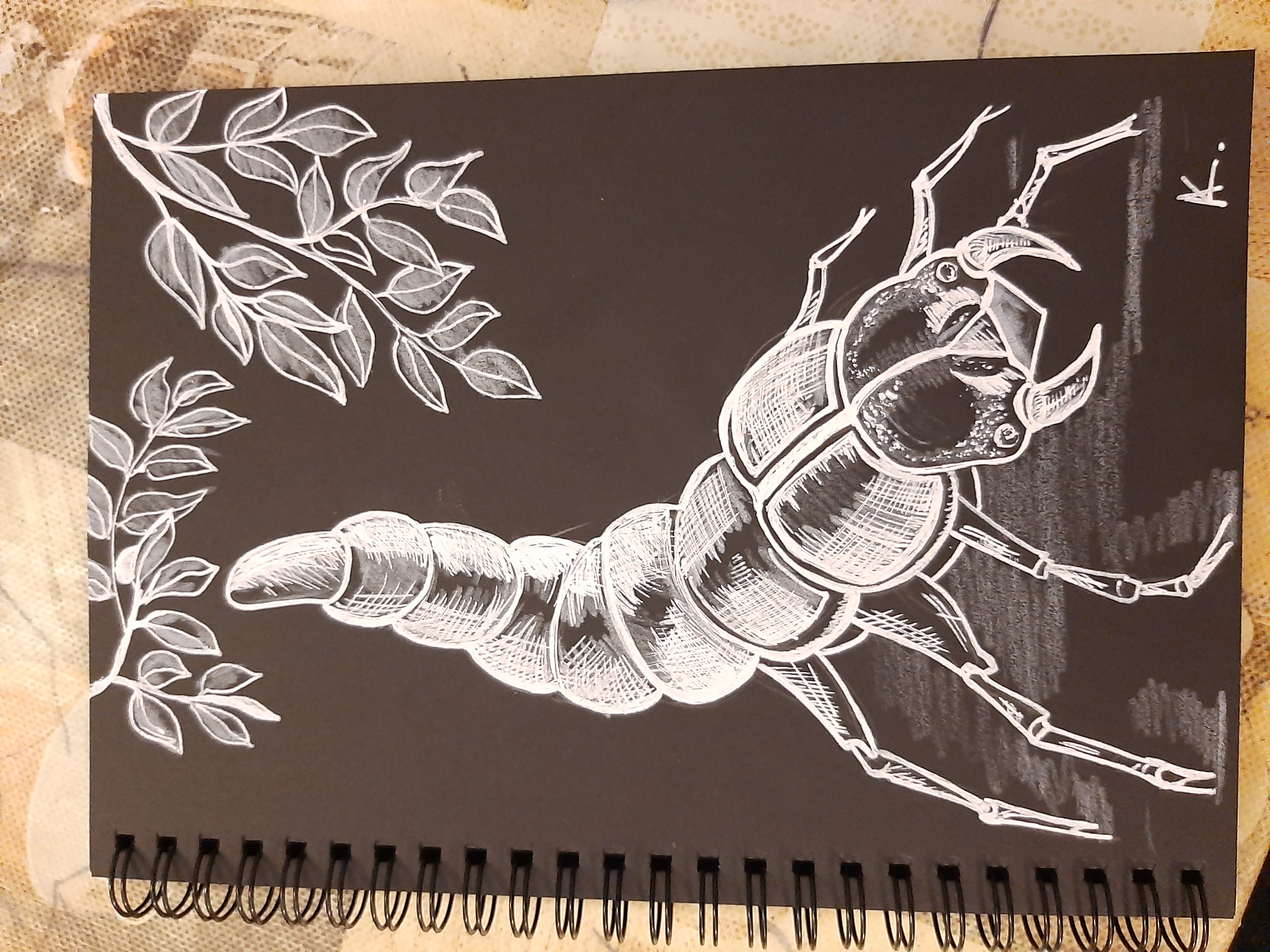 2408cb08 f365 41cb 9f9e 20cbd0292a21