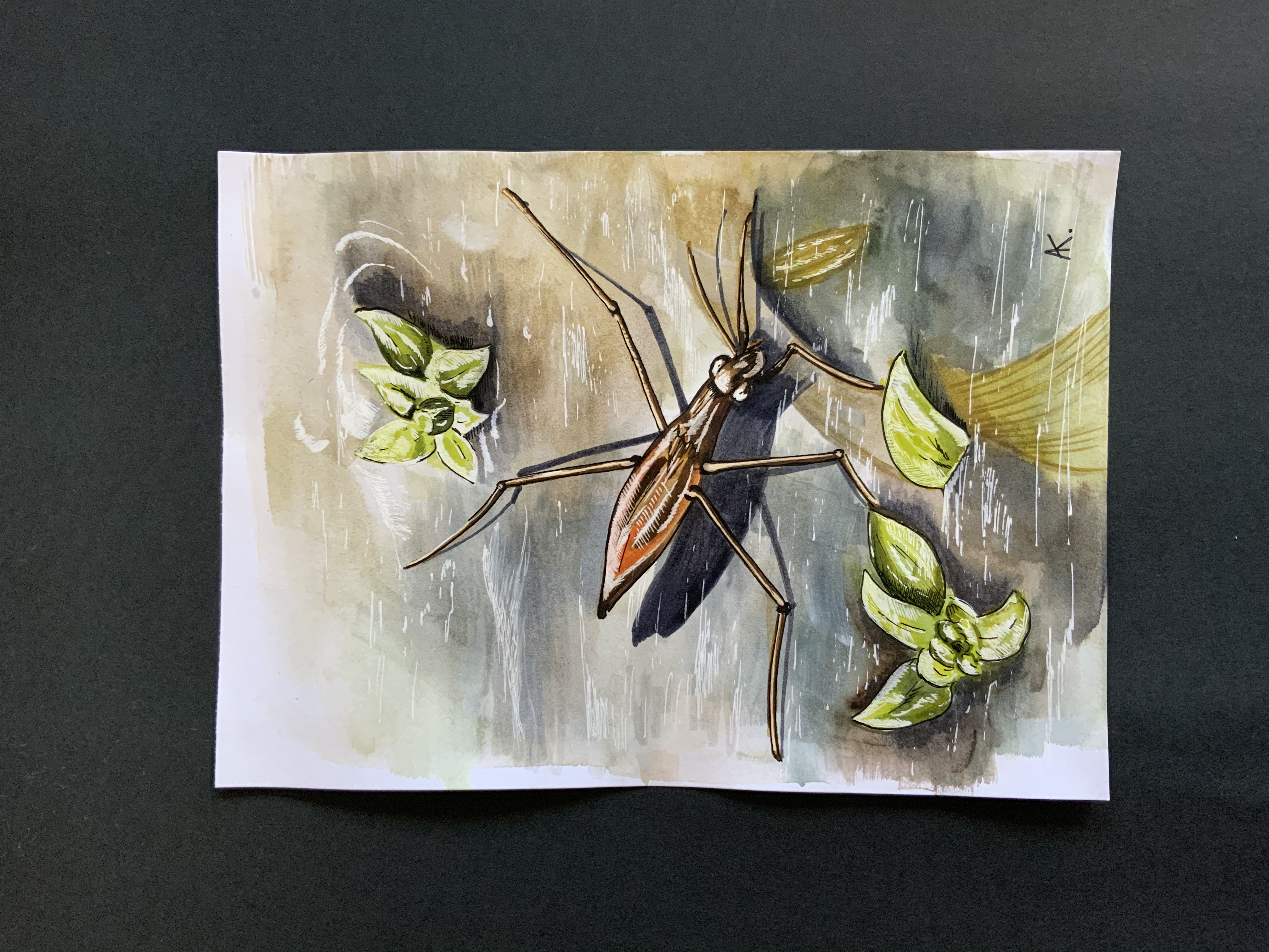 4f0fc29f b3e1 482b 98f1 41c1cddaf529