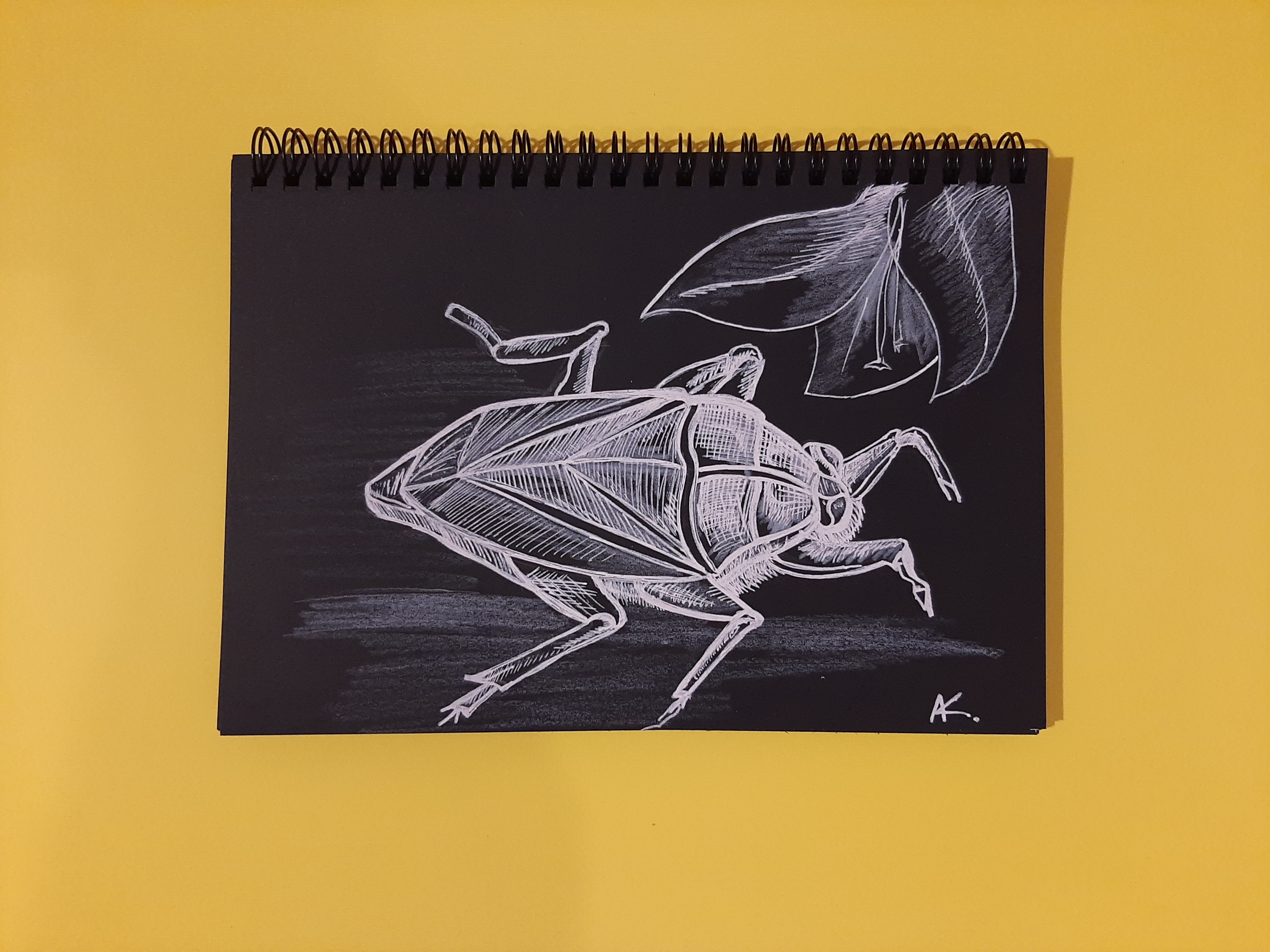 4a94bb6d 1db7 425e 8cd9 02231774488b