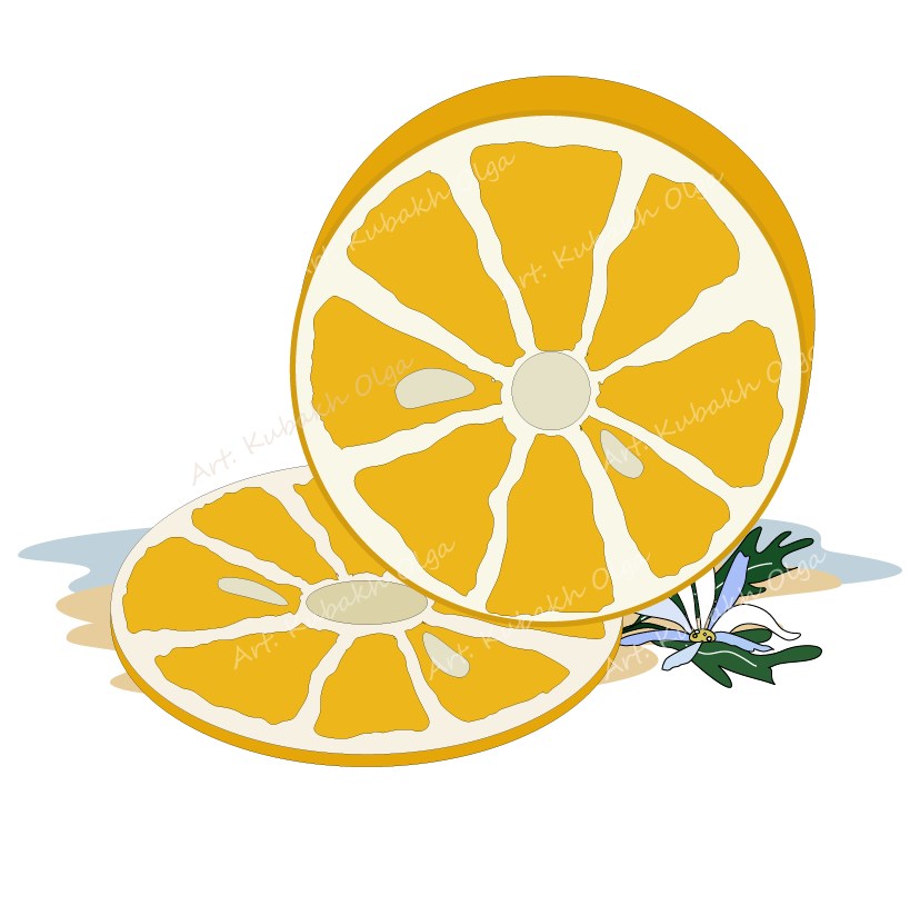 Illustration. lemon and herbs.