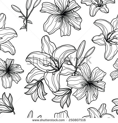 Stock vector floral seamless pattern with hand drawn lilies black and white 250807516