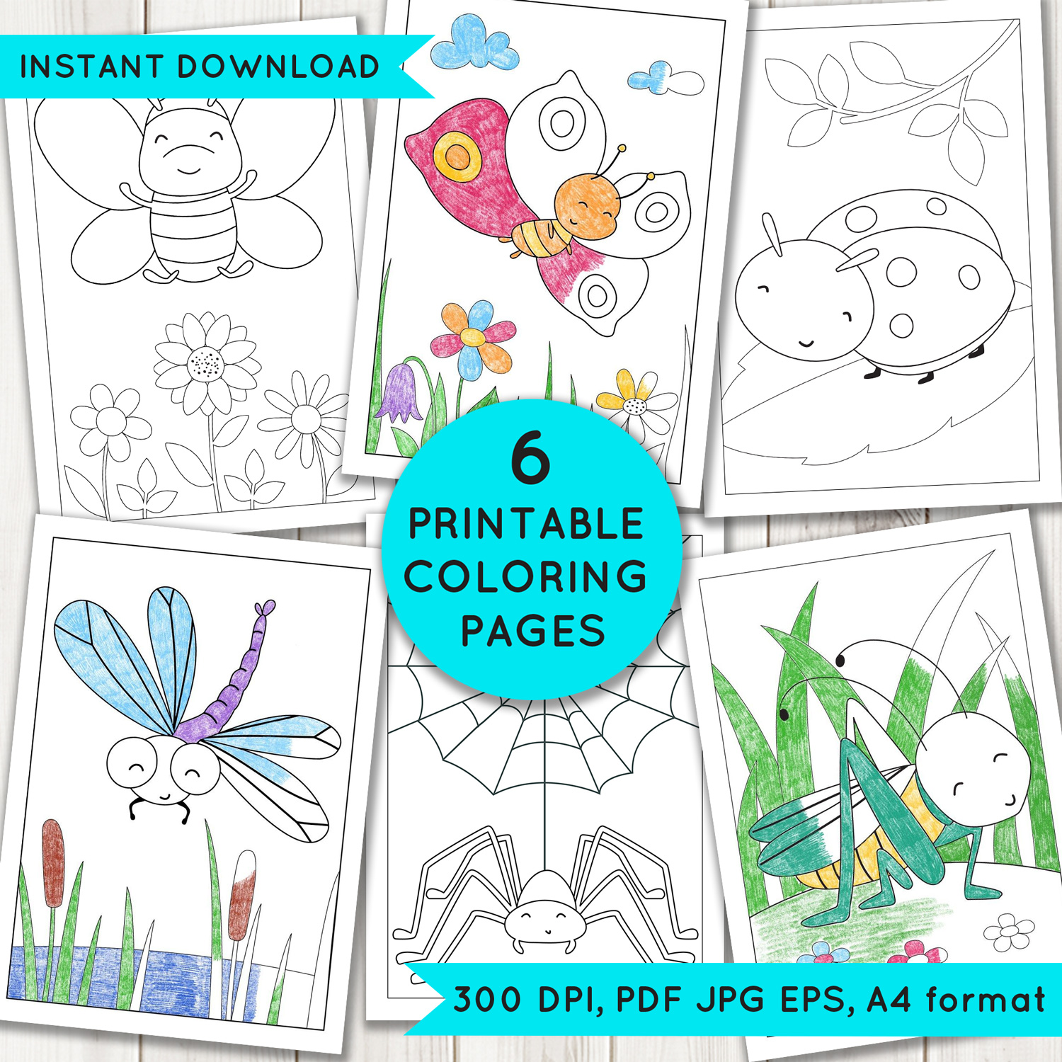 Insect coloring pages