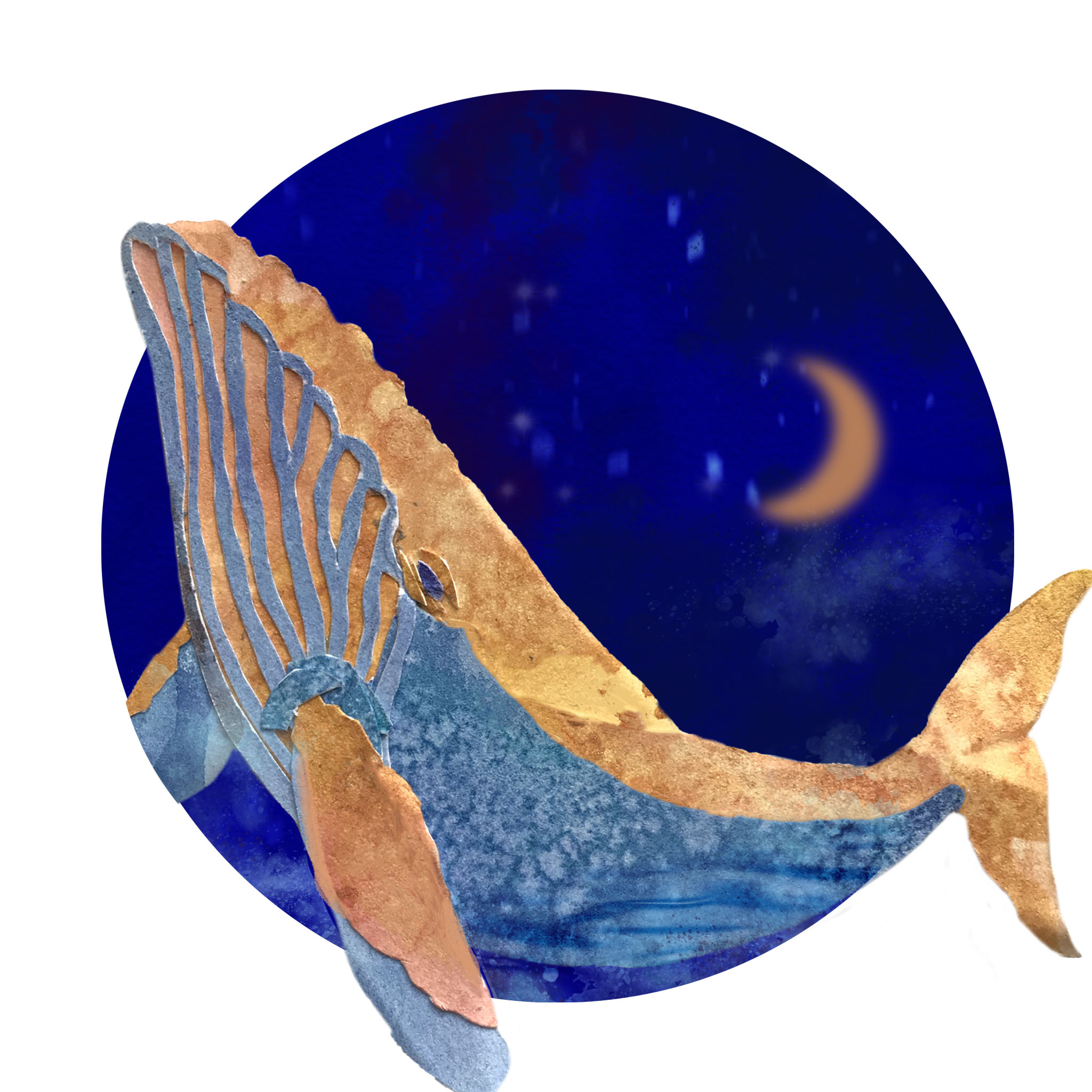 0dc9d151 1ea4 46d0 8445 bc21093101ad