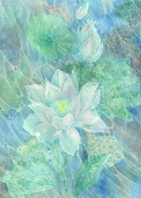 Lotus in water sm