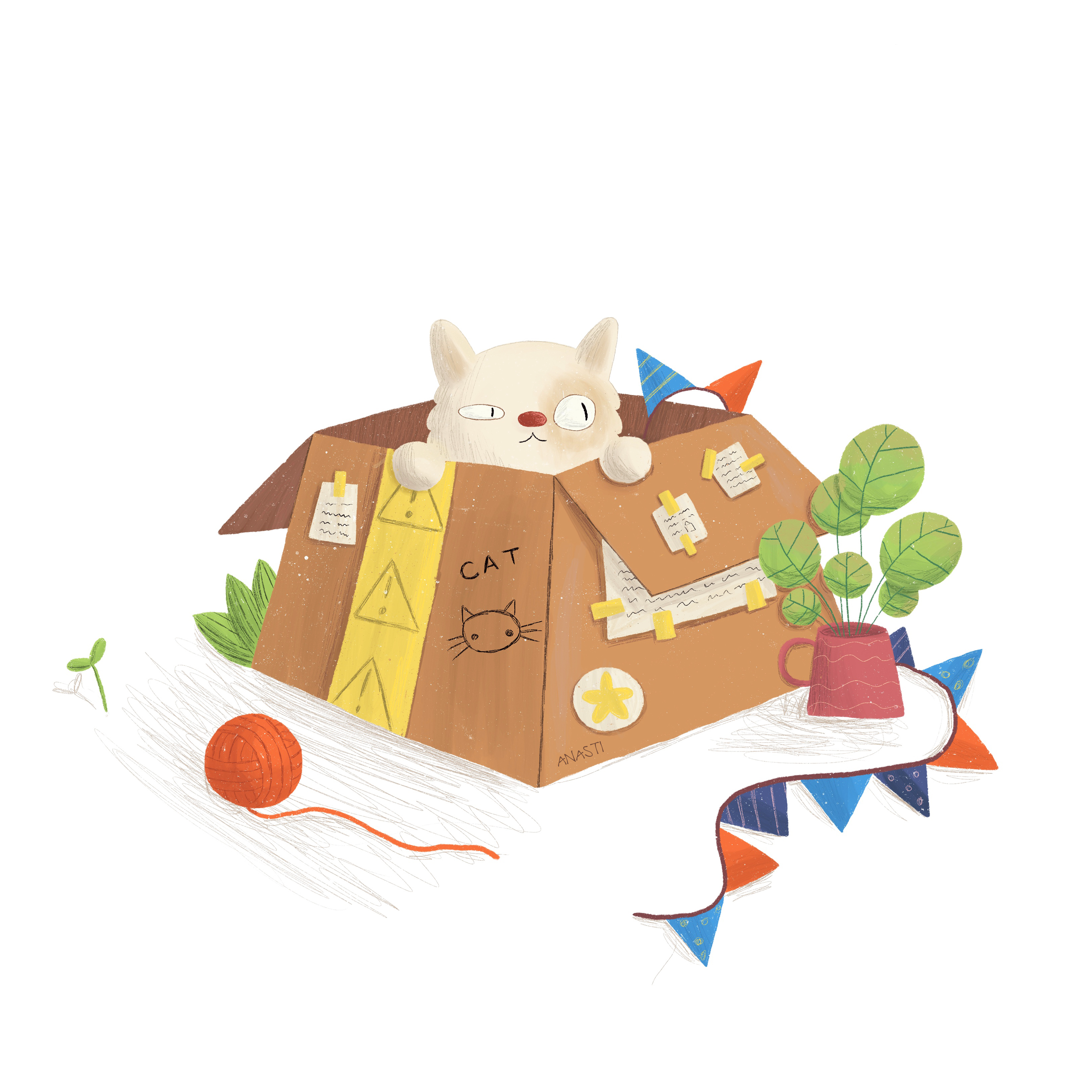 Cat in box 2