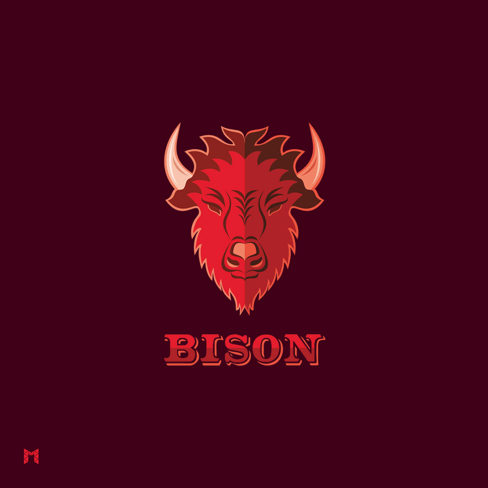 Bison 1