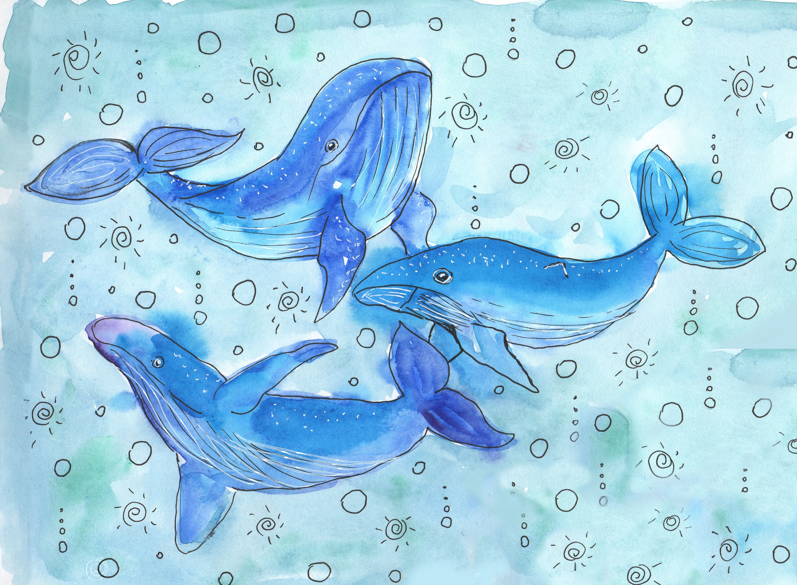 %d0%ba%d0%b8%d1%82%d1%8b %d1%81%d0%ba%d0%b5%d1%82%d1%87