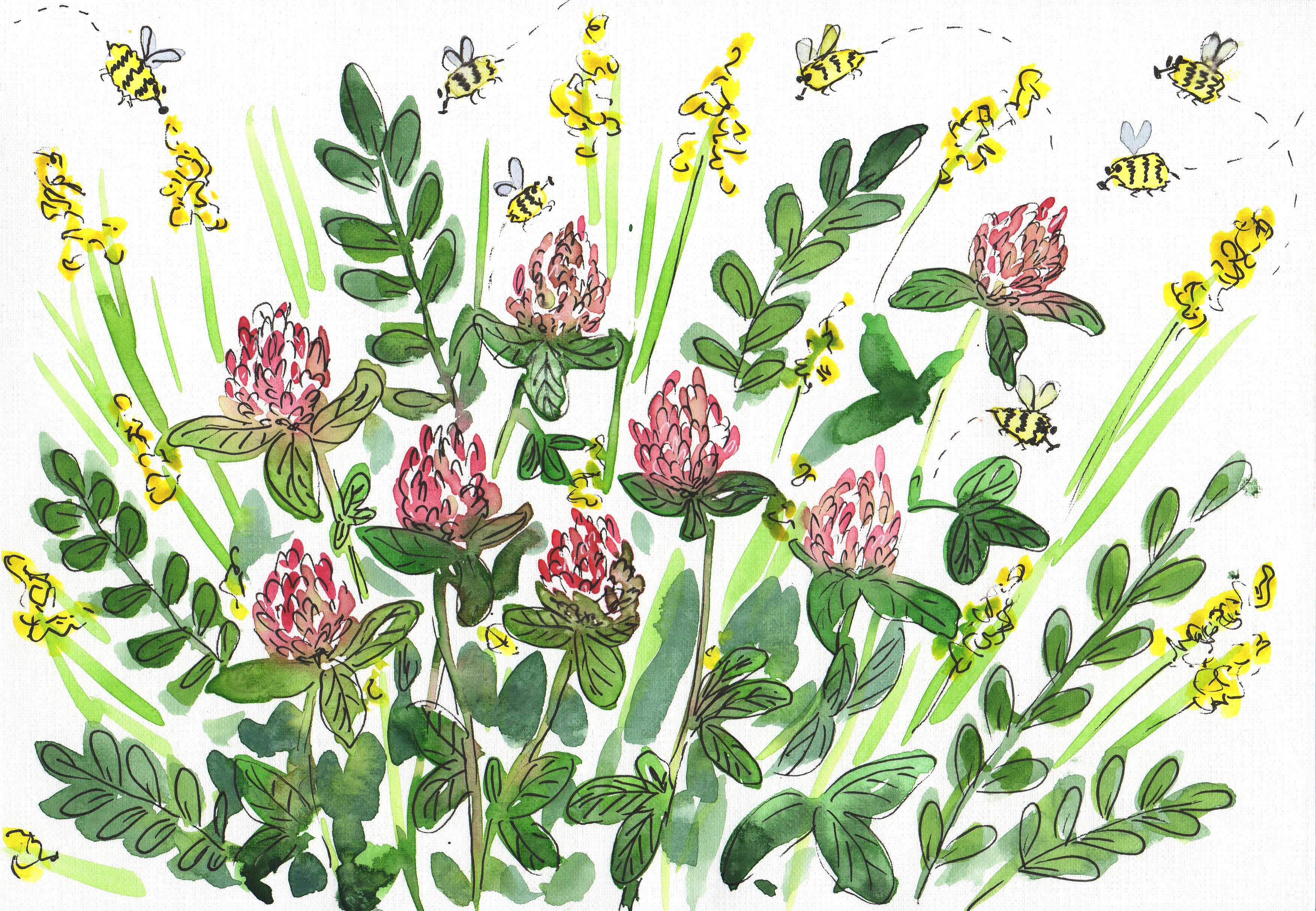 %d0%ba%d0%bb%d0%b5%d0%b2%d0%b5%d1%80 %d1%81%d0%ba%d0%b5%d1%82%d1%87