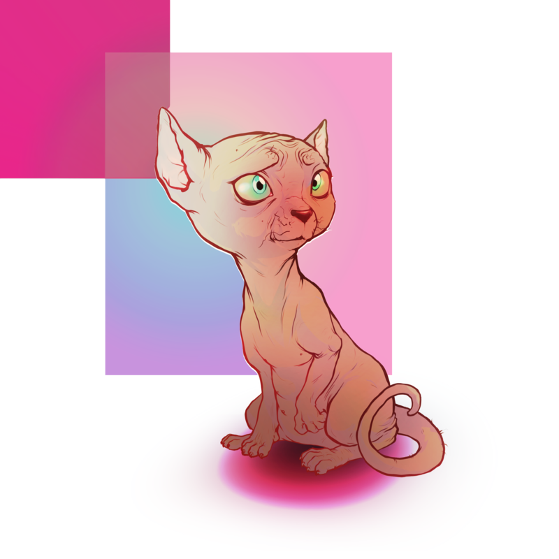 Adopt cat  kitty by ymymy dbilwb3