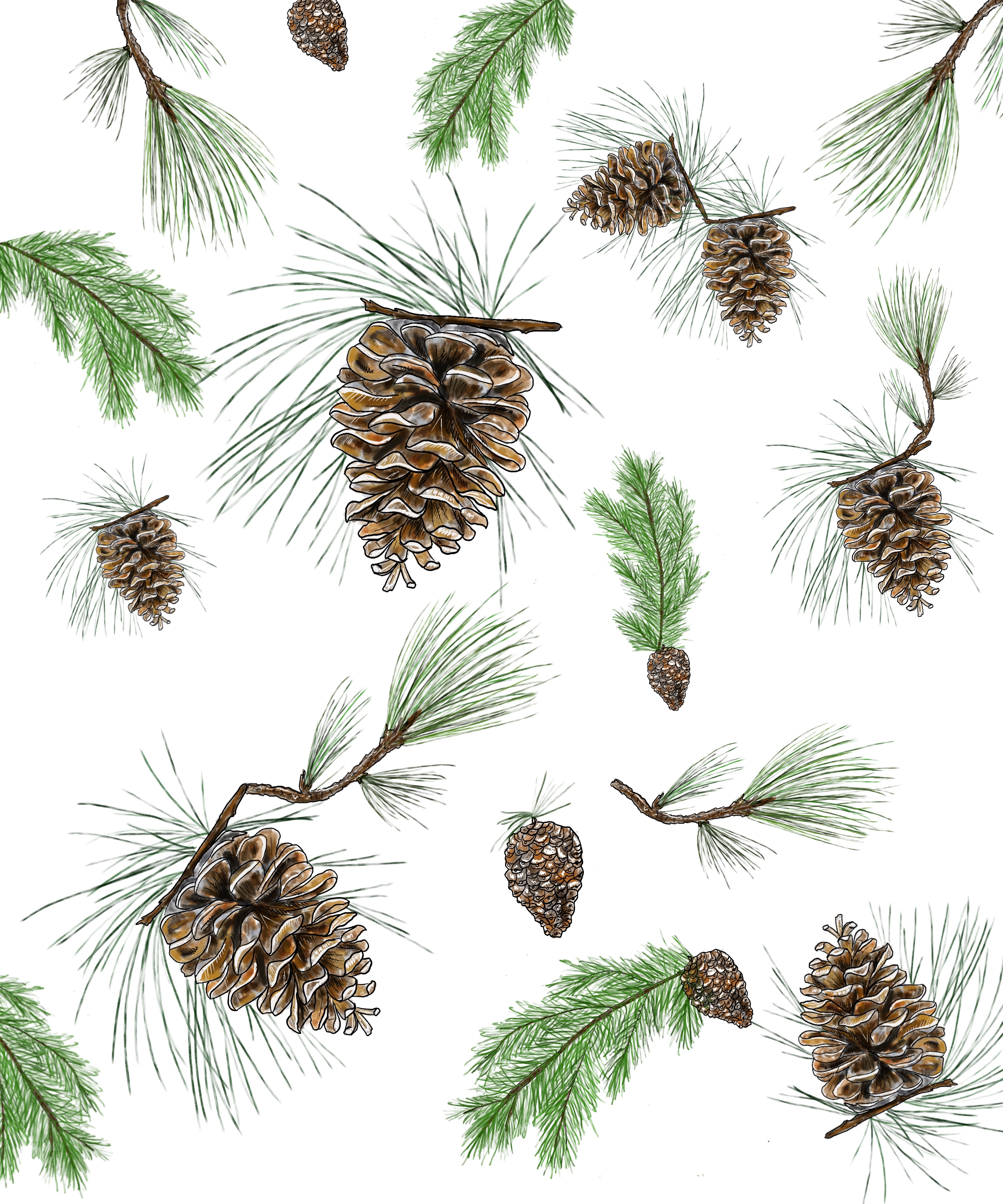 75172aa0 d171 4335 8c7d b21c20e8e622