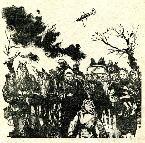 0 1c7475 3531fb29 xxl