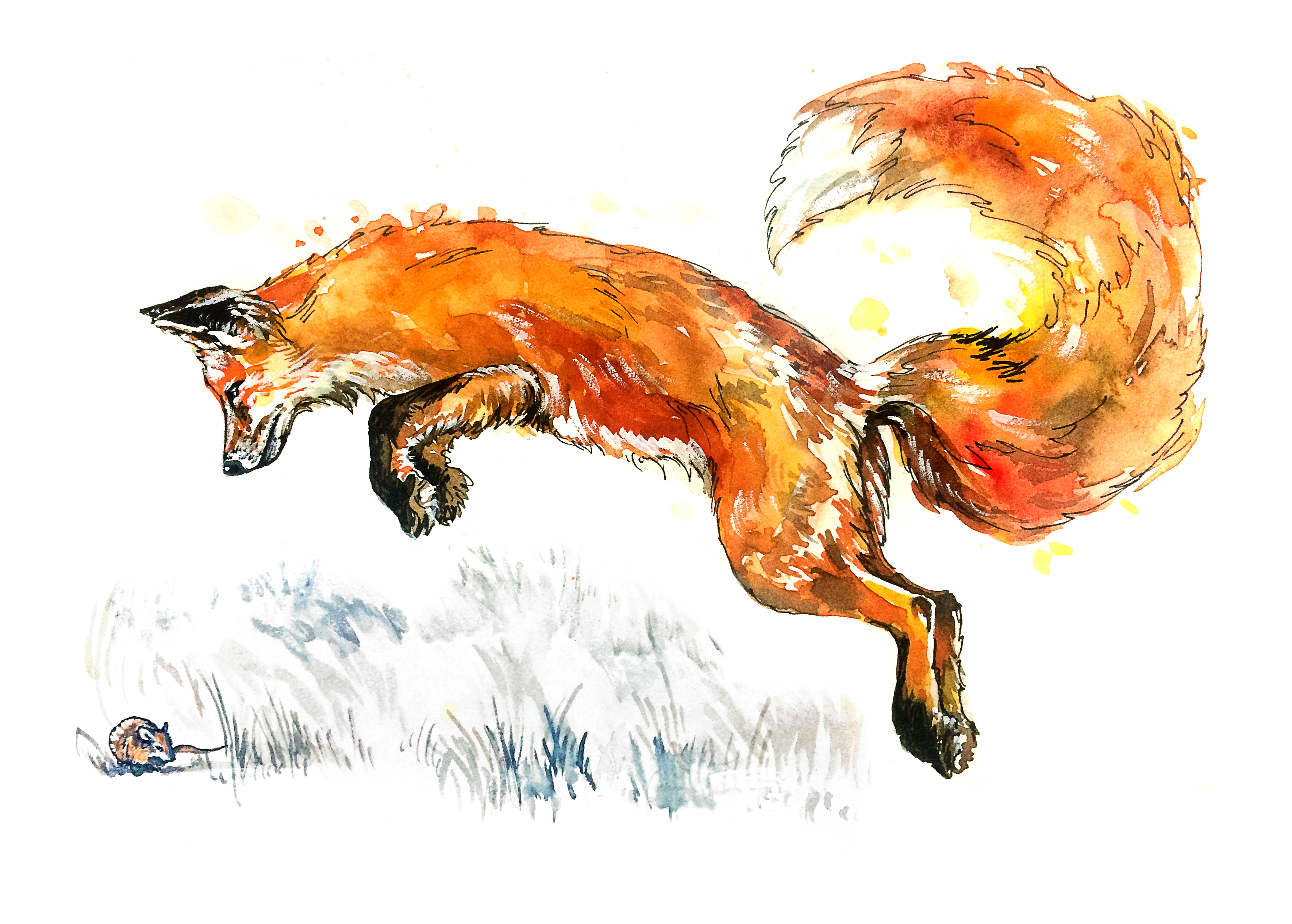 Fox