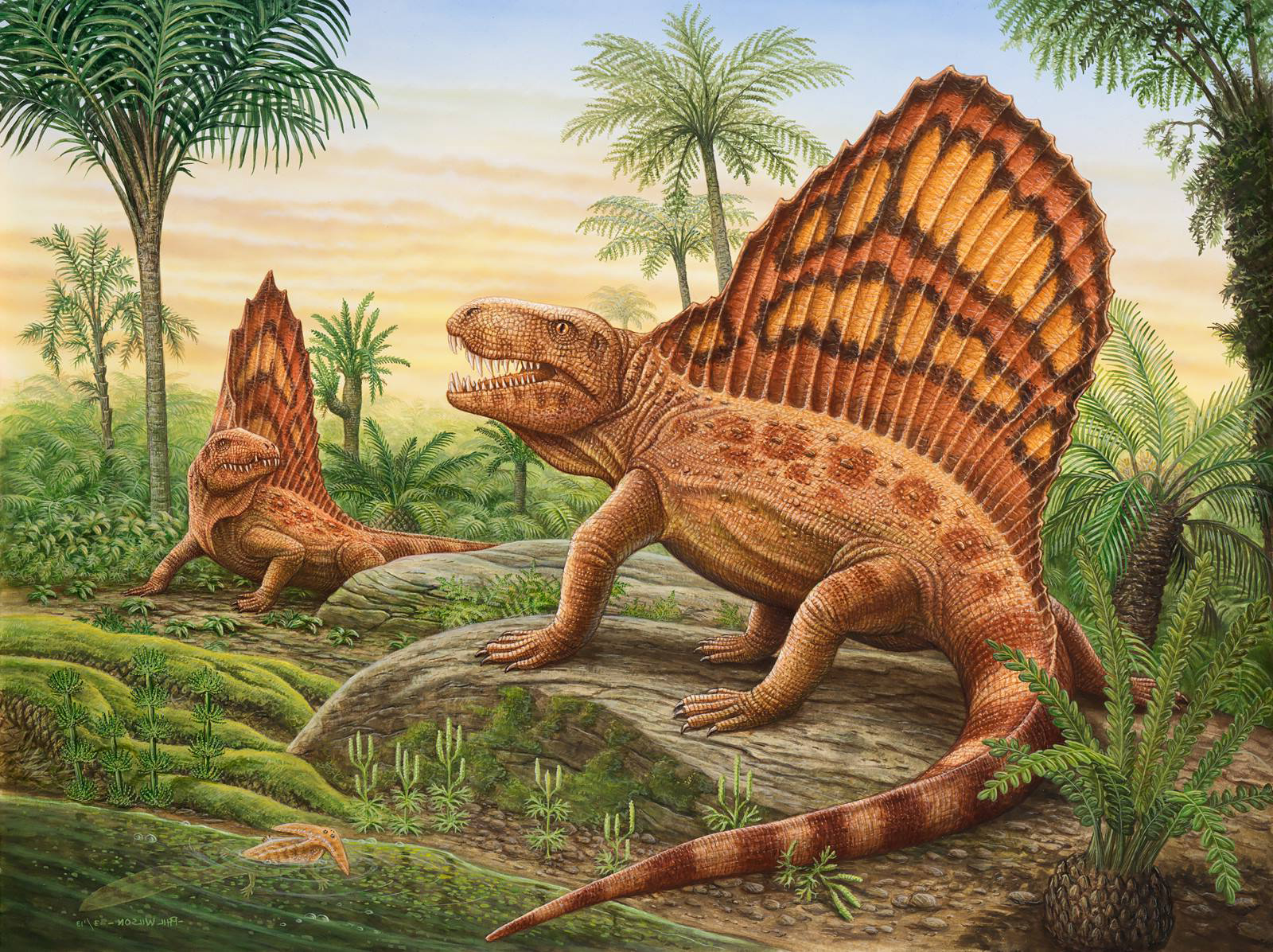 10974435 10206228459301318 1620299663567406820 o