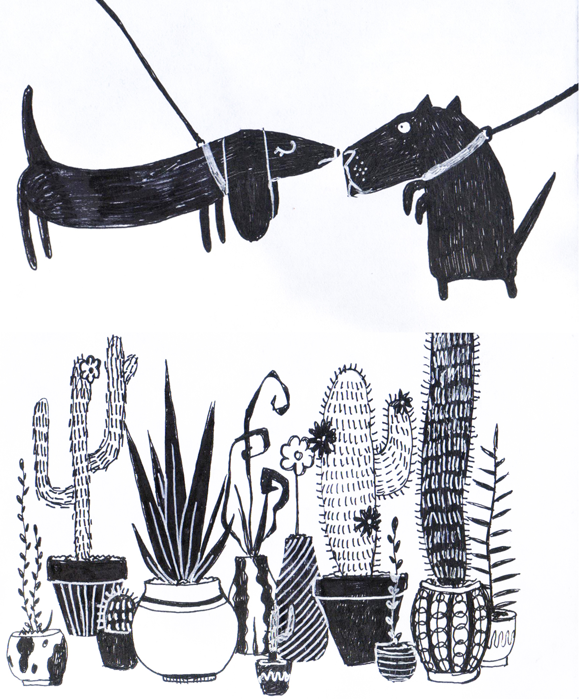 %d1%81%d0%be%d0%b1%d0%b0%d0%ba%d0%b8 %d0%ba%d0%b0%d0%ba%d1%82%d1%83%d1%81