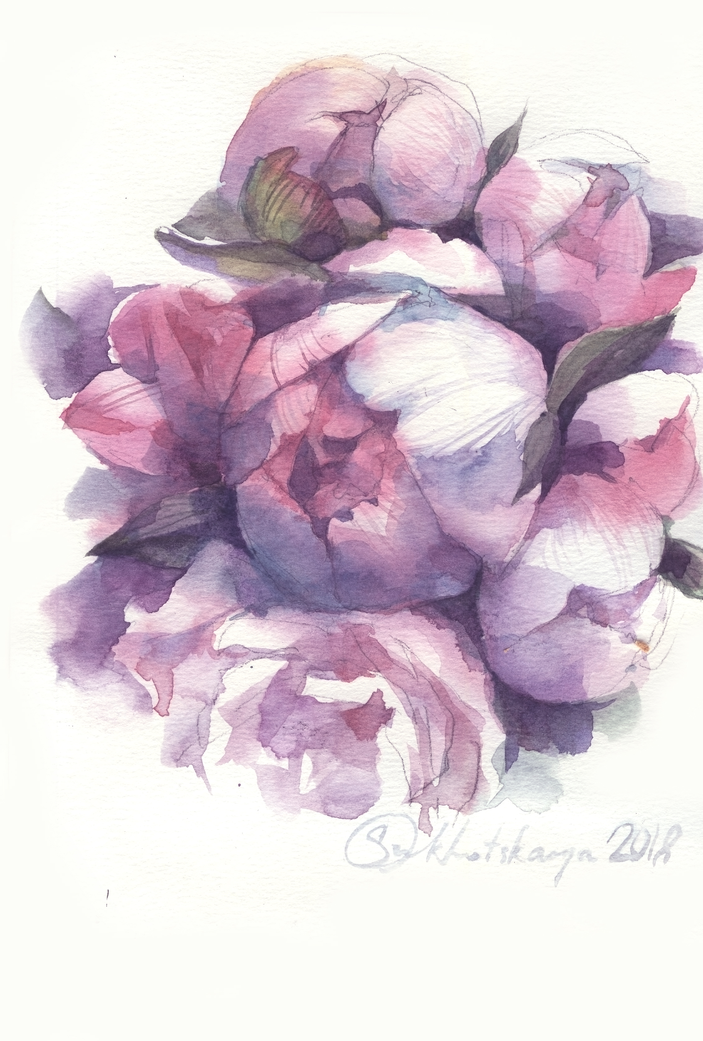 %d1%80%d0%be%d0%b7%d1%8b 1