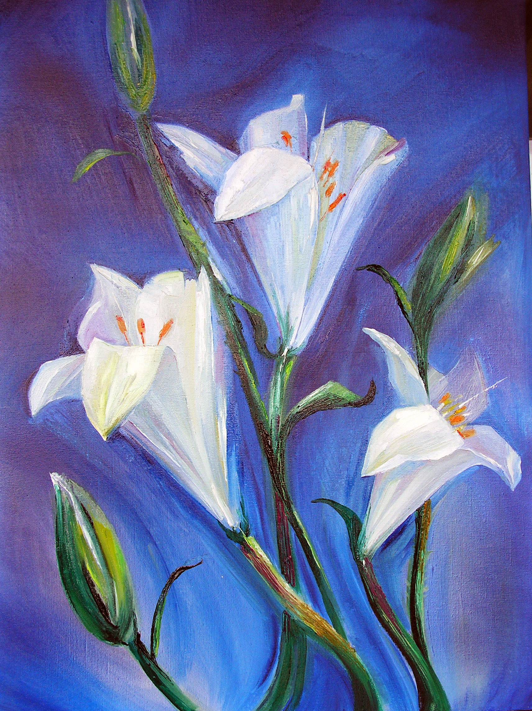 %d0%ba%d0%b8%d0%b5%d0%b2 072