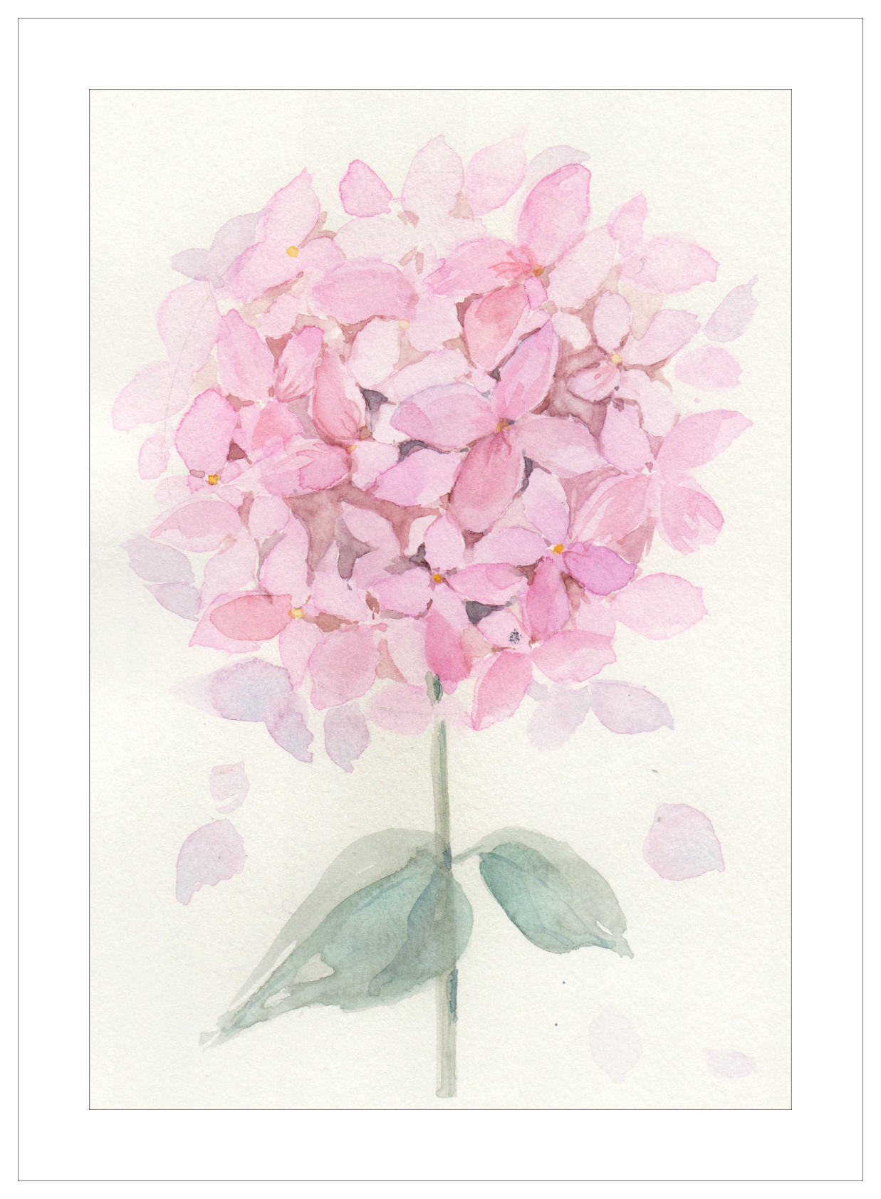 %d1%81%d0%ba%d0%b0%d0%bd%d0%b8%d1%80%d0%be%d0%b2%d0%b0%d0%bd%d0%b8%d0%b50001  12 qew