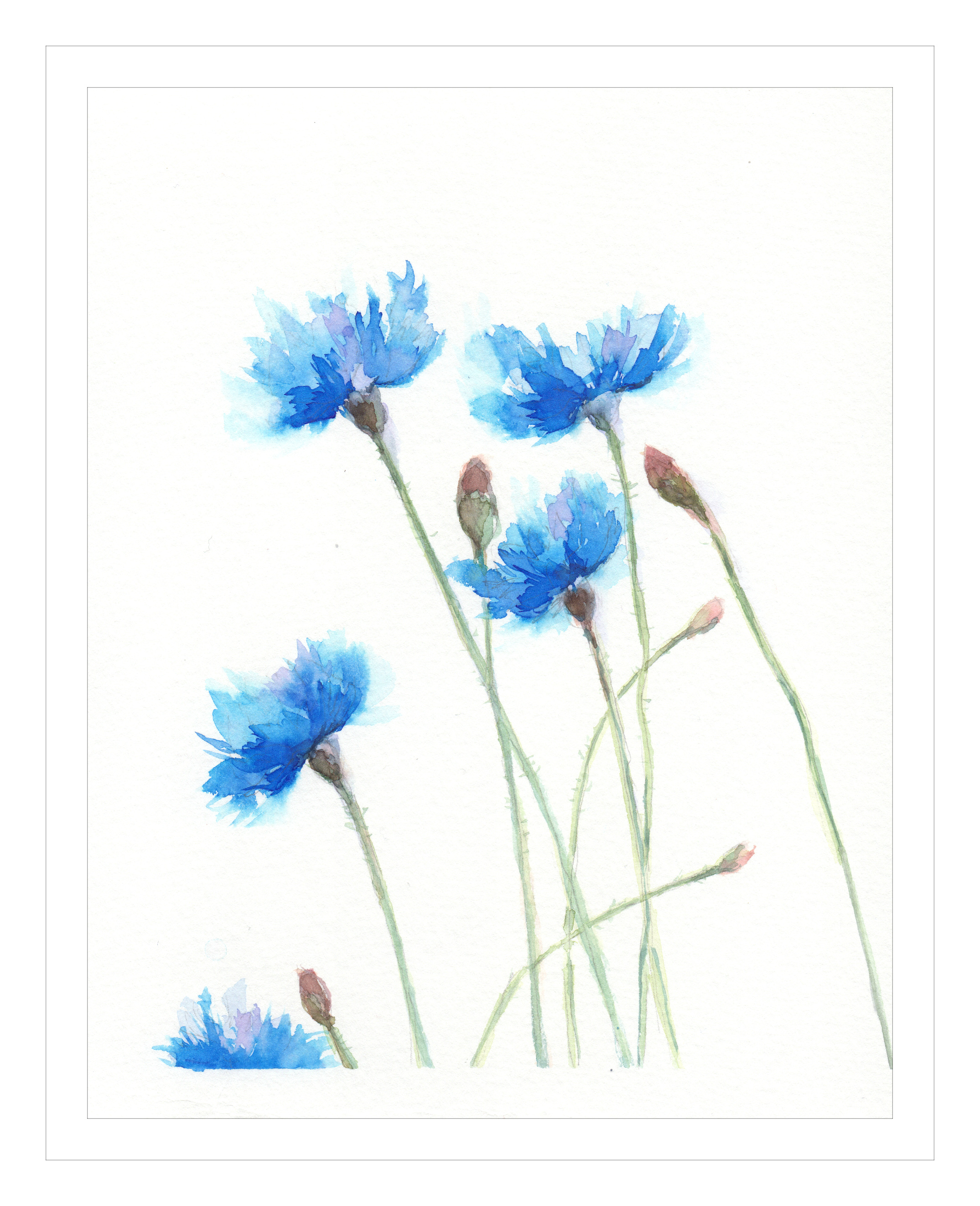 %d0%92%d0%b0%d1%81%d0%b8%d0%bb%d1%8c%d0%ba%d0%b8