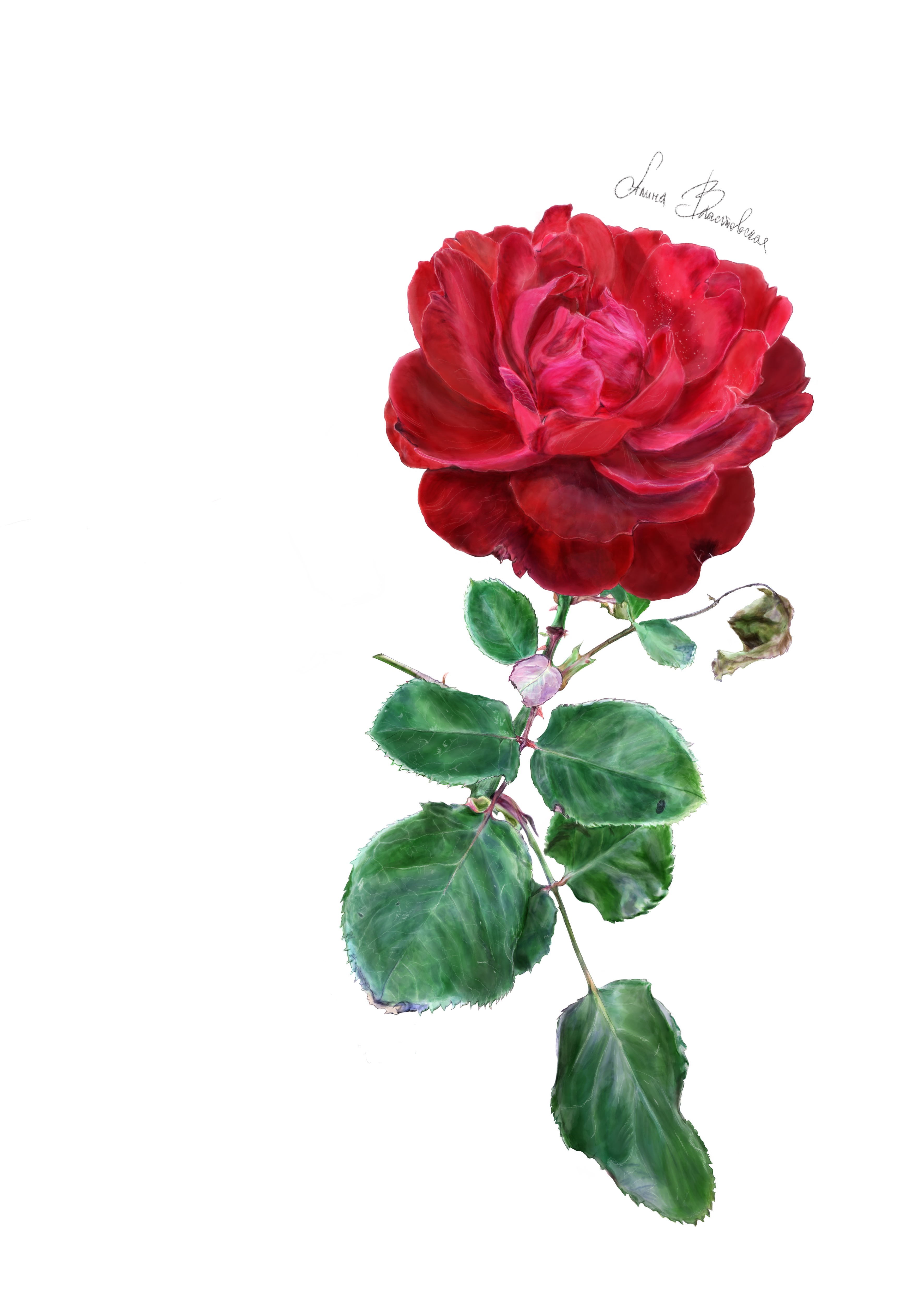 F199a57d 6733 4592 b1e6 bc1339ccbb61