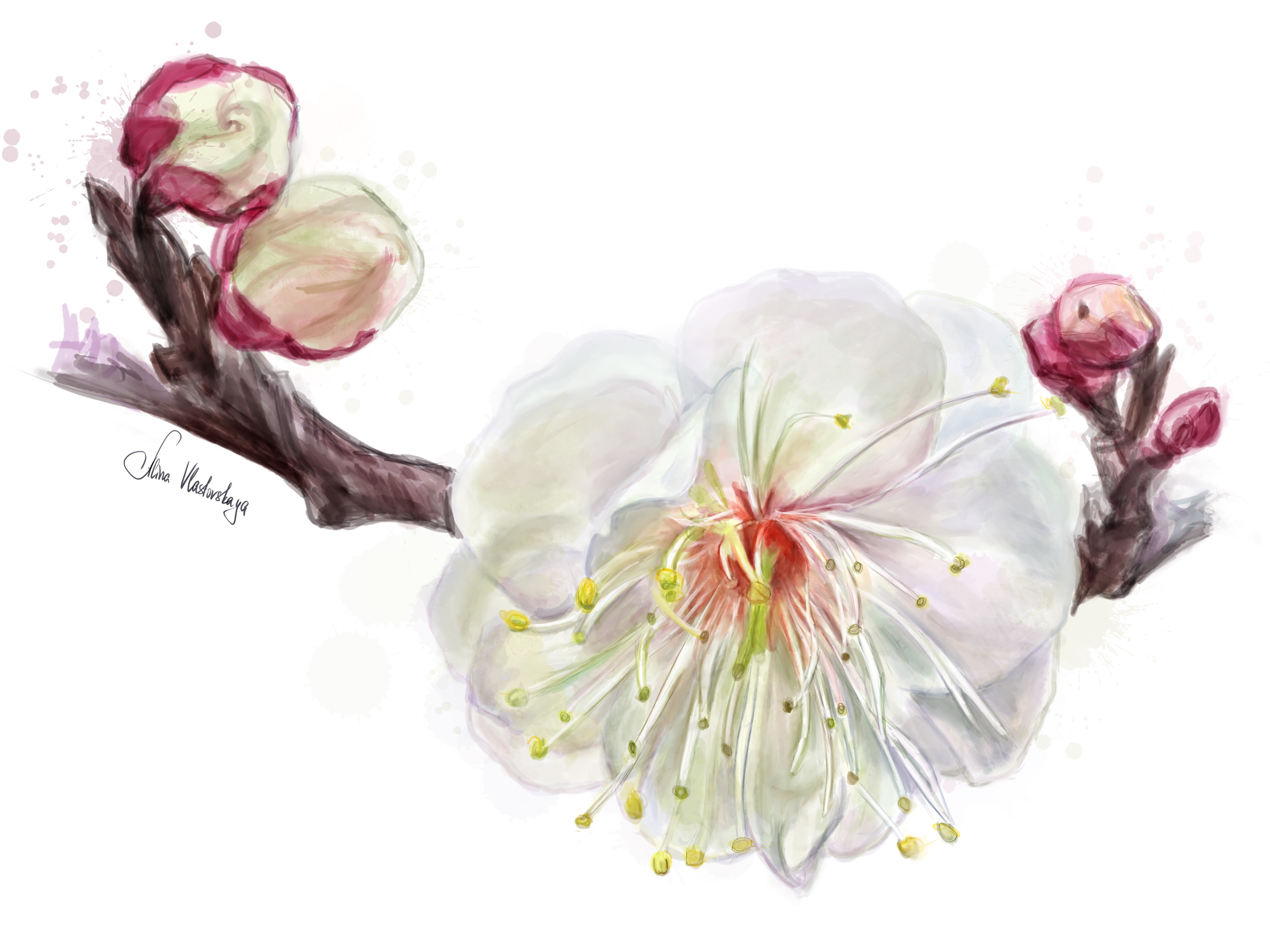 3f42aca9 fa15 4287 81ba c11720aaff3f