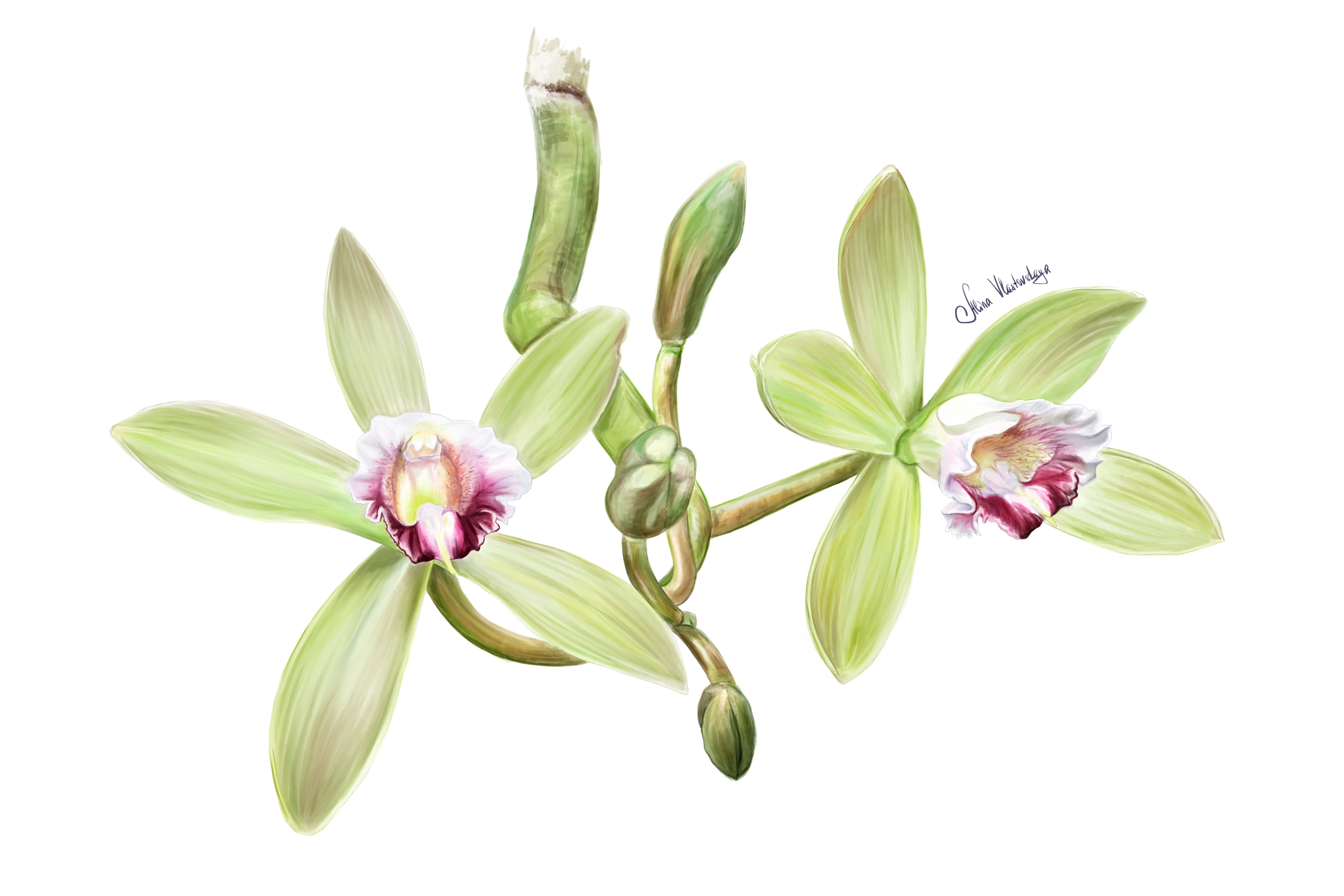 54a99803 8ad1 46e1 b4b1 0527a939582f