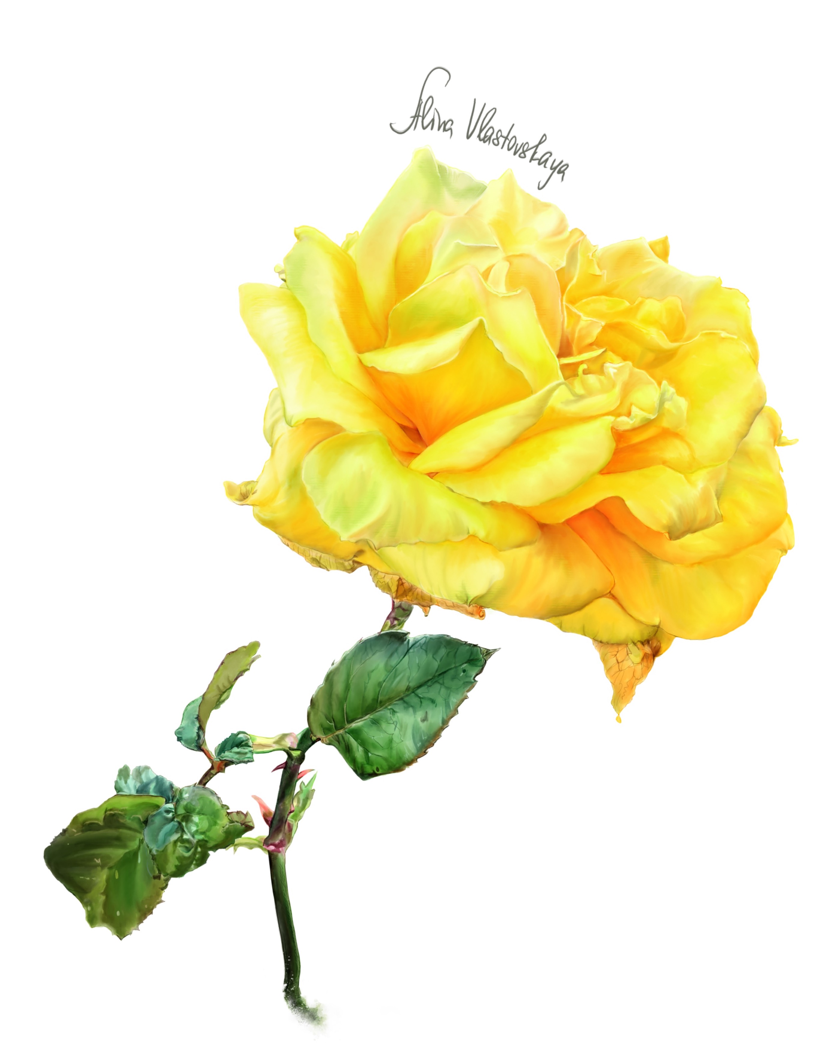 D1d13389 1c10 4371 83d3 f0b6392b07d5