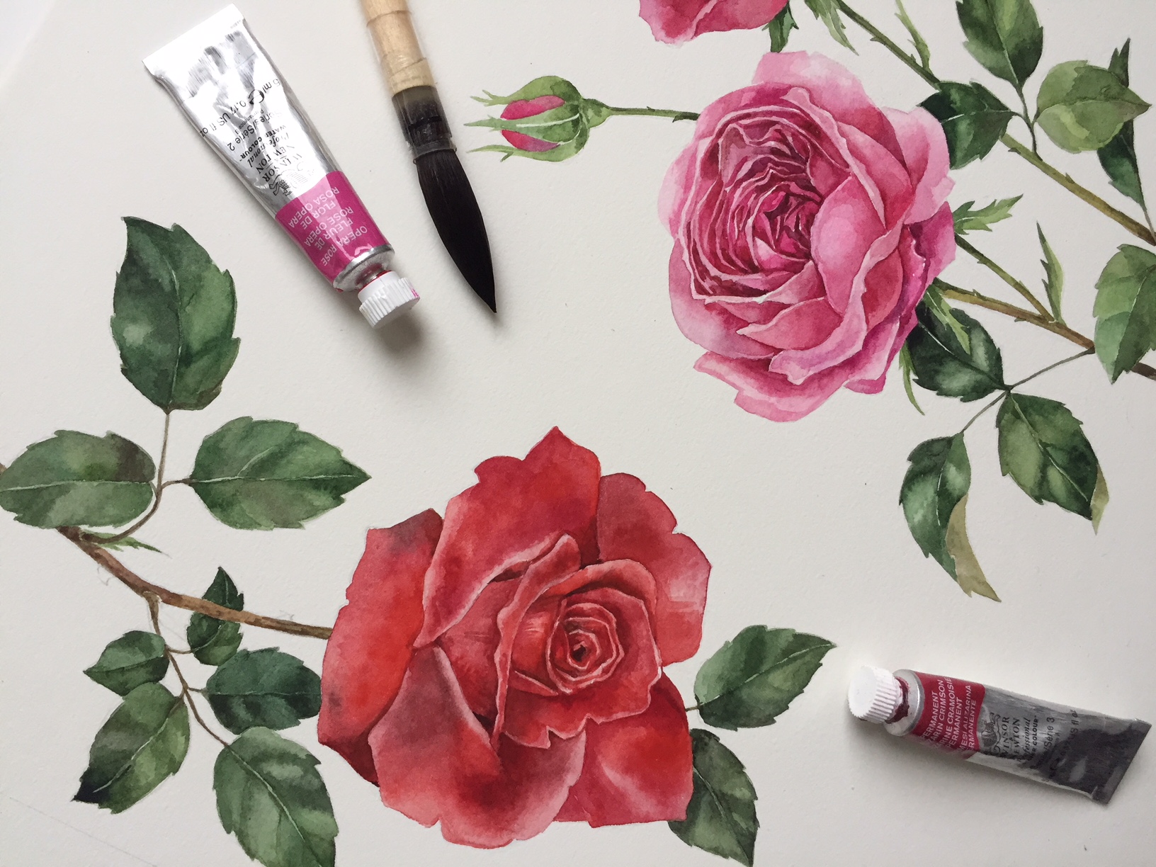 F4846aee 0958 42b2 86c8 b10abed54047