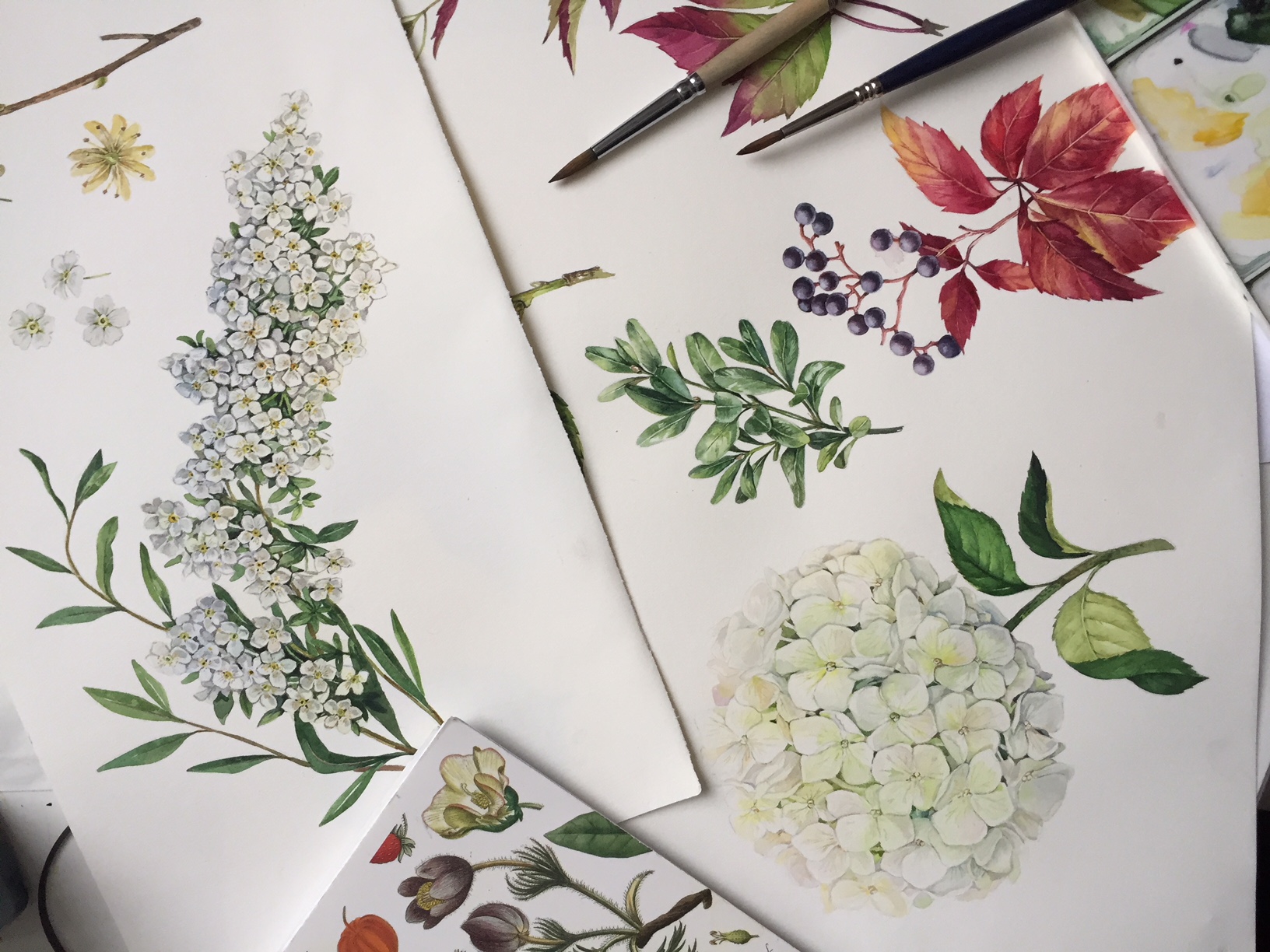 4baf9743 89b9 4aa7 b75b 79fb7fcdaece