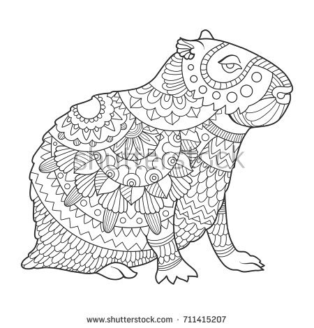 Stock vector capybara rodent animal coloring book vector illustration black and white lines lace pattern 711415207