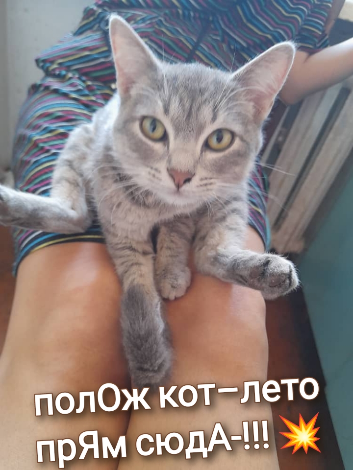 Picture1649535925620