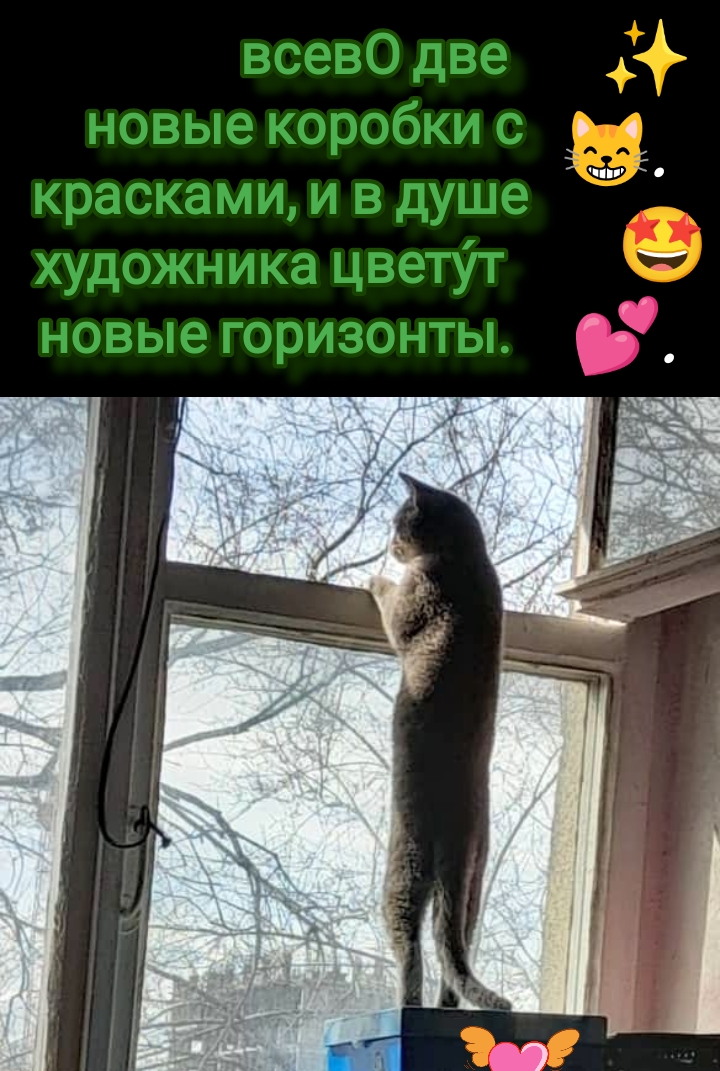 Picture1649537711246