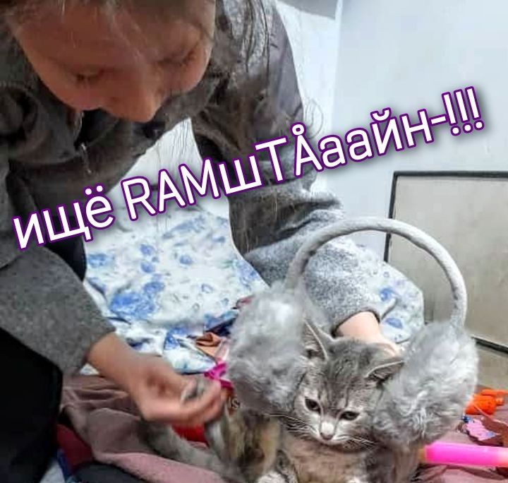 Picture1649538099675