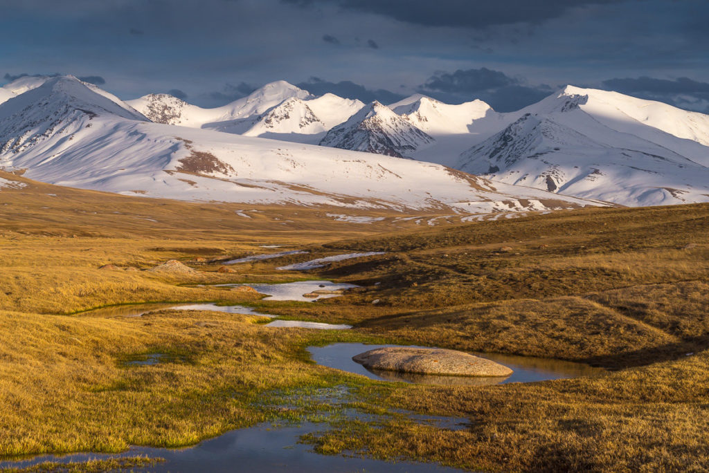 Arabelskie syrty 6 1024x684