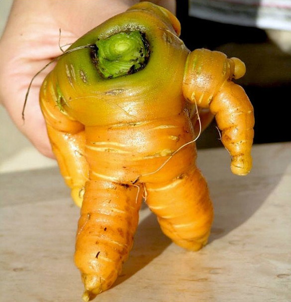 Lyfzgyisuph9w2tvmdi4fvrjwfyh4warobpdmr ymriungibgxhicuolqocaqln1n xuhmxpki yisb9gsoygimh