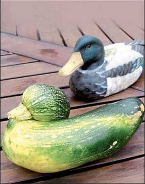 Mwdiaadw25nadfukjvjxvl rsxcoj7ddm2iiiqv3onjqkdtx2pjonjsjanczw8ivxet6tqmg