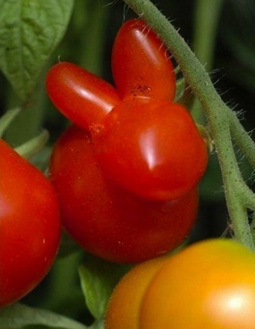 0itcj6hnyuwm95olh2qxnjkspxeautcfk4pyhzfblmz12pjcaomd2 o4qfk3uvevbj31cz 1