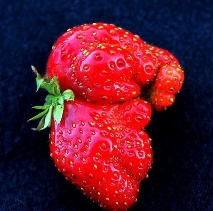 Cydg8ymso pbbebjkidacawstj668glx7nd4bm8tfm1hotxqy9mrlxyvu15fotskfbtdgkpm