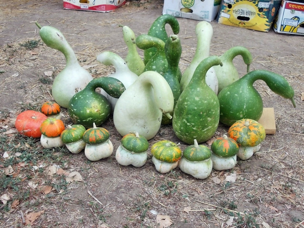 Udtxlmqxtvym7pvgofpvhh 4nifuffhtvvwd0gyvqoyqwkjqepyalpbkn3kyg776tbvkolsd