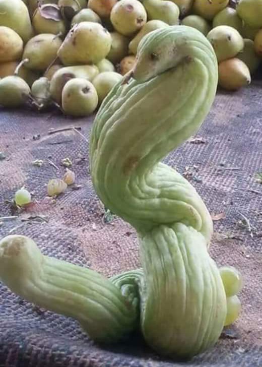 Hbqntig7c cur8fbuyw erjoaag dpqwggqcalnipcjou9mse2a1xnhl56knqrqq69zhsqq8