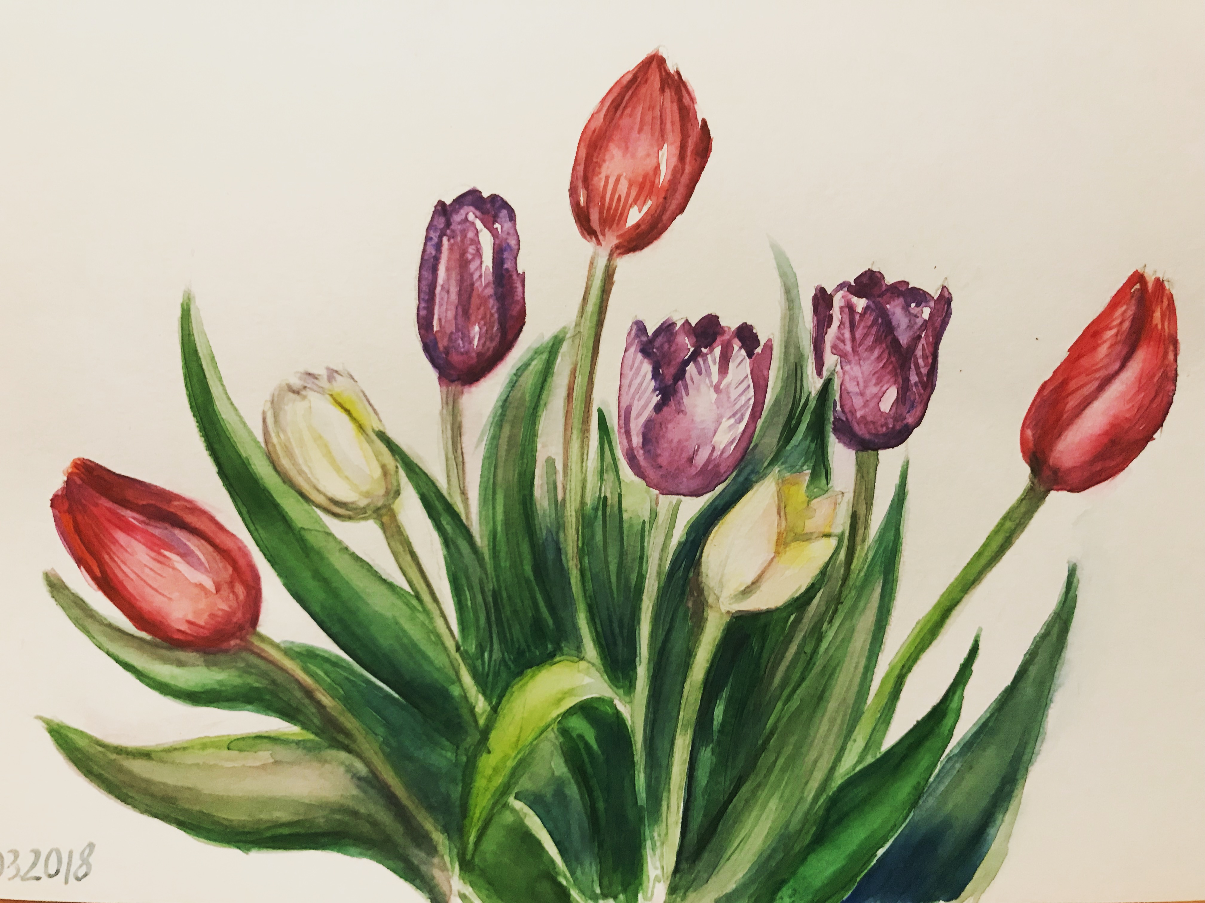 Ba3407ca bc47 4b50 8d50 baa2df65c97c