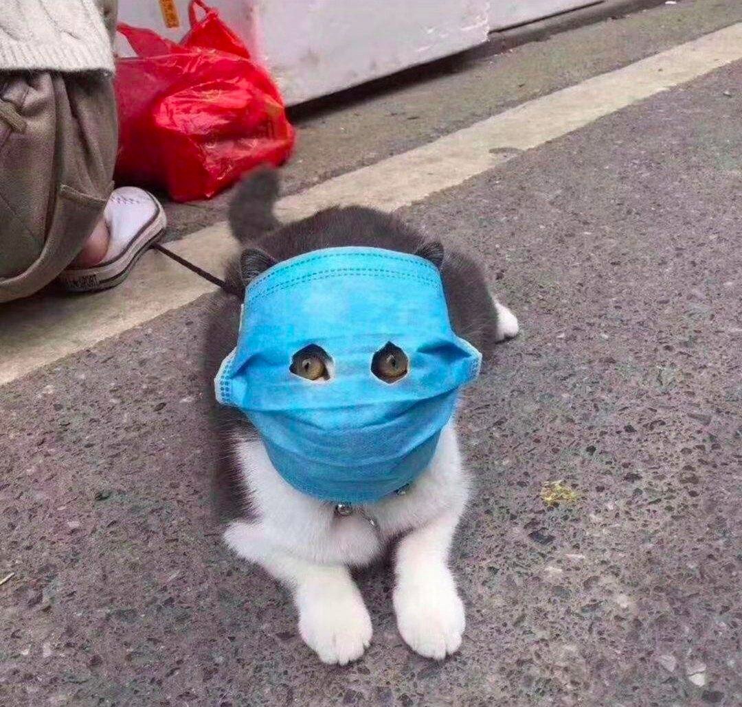 Yai32s t dvsvj0flhwfm1xsoasmedaao93b8nzb0vpjtya2sixmzjbkbflrp3eowasmb9sn4uvd0e ywtna8t f