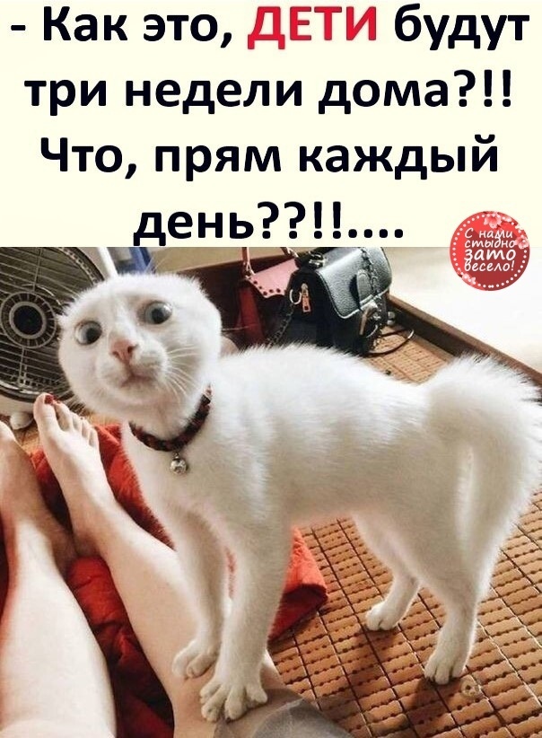 Ppwv8pm0dji21eo5cbcsu5wnjknr cg0l8cb6mckbxaro3uiq7pp5qucmjvyh sf50iapq1idctgxjgazawelisz