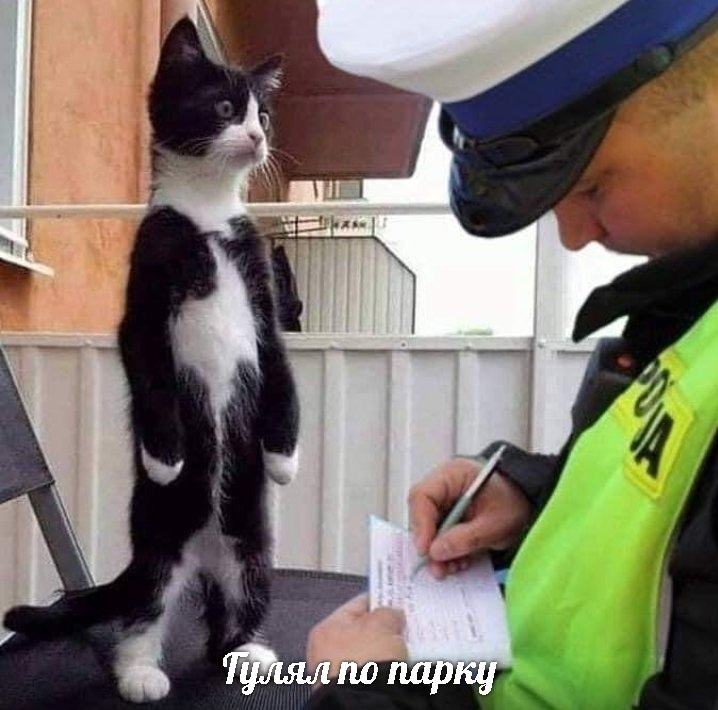 Ajopqaqd5yoiz ycq9zqnzlsa6piacidbxrqhragebcdxvmn0uzpcrhdedgjawyi2qelsghh