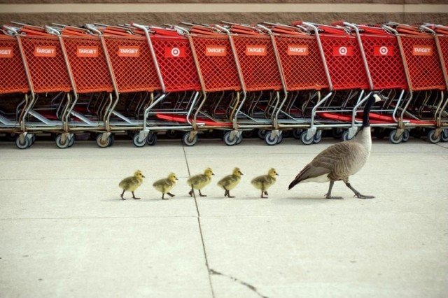 K2 r1j34wwmunvfaiwjrhc 7kw5ihl8tkzzxfbqxsmu7ffnicvn24rokhjdpsz1bsm6x odrbldjvcxvw3xi 3un