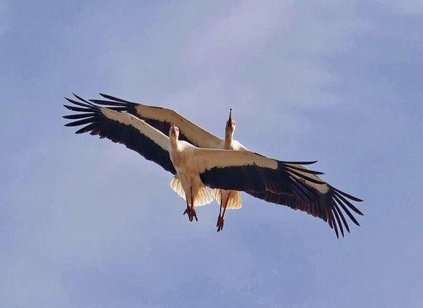 Cch7jn fvc7dbyotwd2bcruaxhawhmspx3dontzsqck7yaaiwg8q7spjf0girmy2yddnvsrungtgiwi4pln8jmln