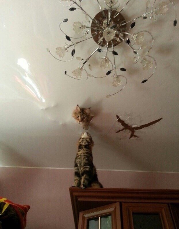 Zaqnk8vkxmndxvh5 c3wjoeele1lo0ym25i6rrwa2v0k98i5wu qur4wty6nqg4aouoz e8o